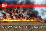 Stop wypalaniu trawy - pomy�l zanim podpalisz!