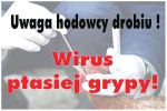 Ptasia grypa - HPAI w wojew�dztwie Ma�opolskim 